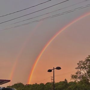 Meet your Posher, Tess